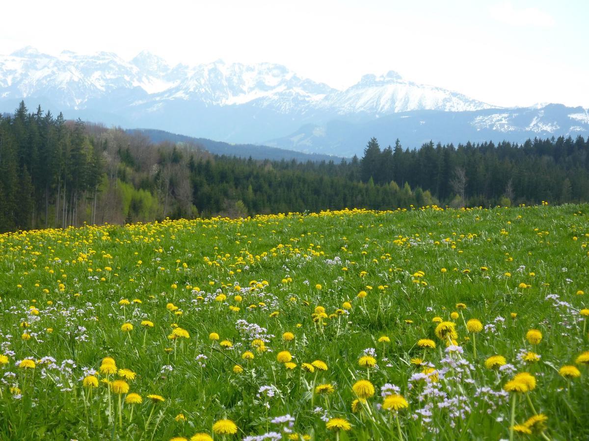Mittelallgaeu * Betzigau