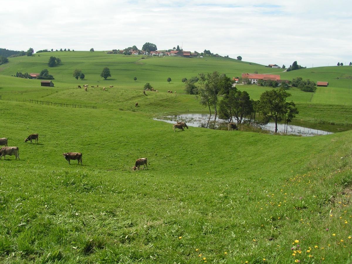 Locanda Mittelallgaeu *